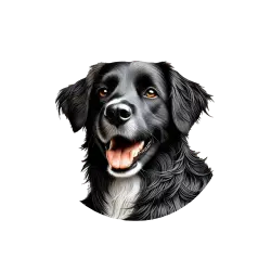 logo dog and cath's sans fond